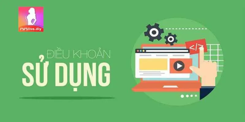 Điểm danh những điều khoản sử dụng MMLIVE cơ bản